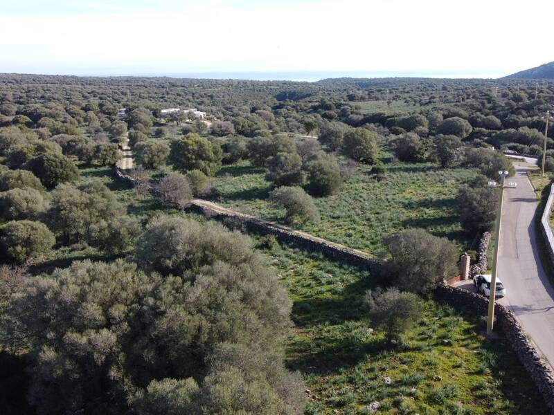 azienda agricola in vendita a Dorgali