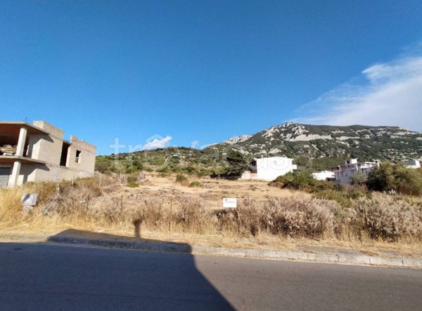 terreno agricolo in vendita a Dorgali