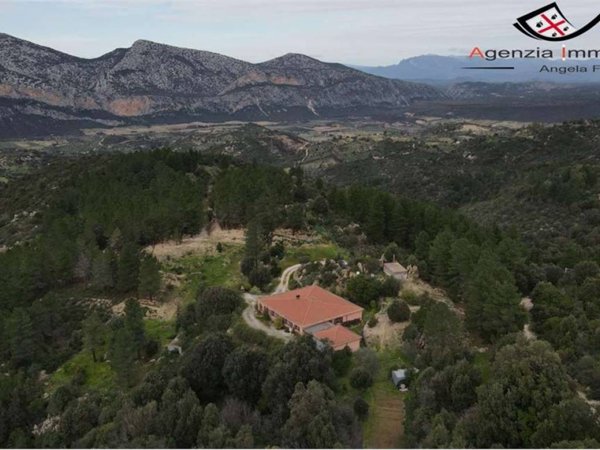casa indipendente in vendita a Dorgali