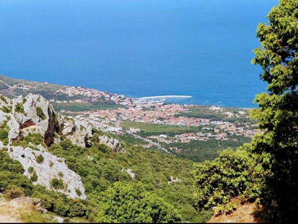 immagine annuncio 0 di 1