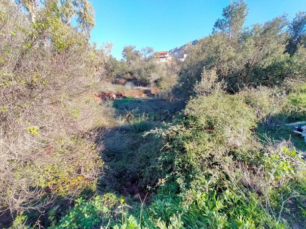 terreno edificabile in vendita a Dorgali