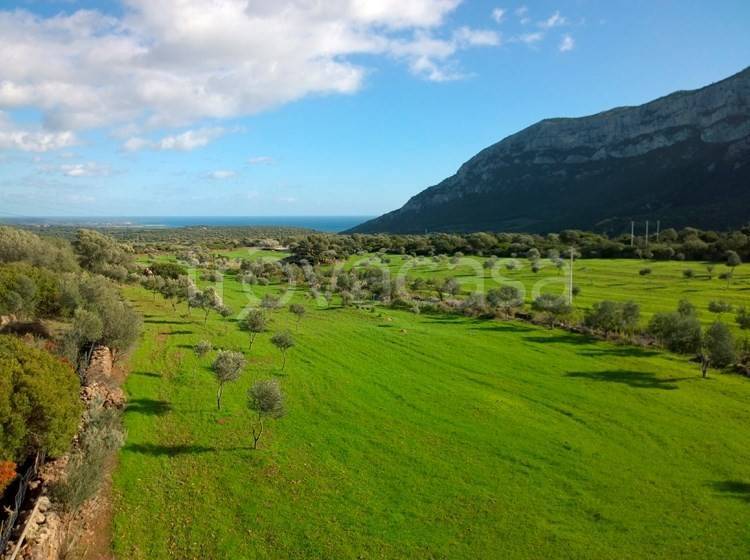 ufficio in vendita a Dorgali
