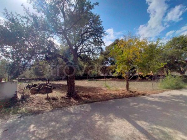 casa indipendente in vendita a Dorgali