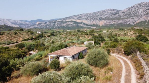 casa indipendente in vendita a Dorgali