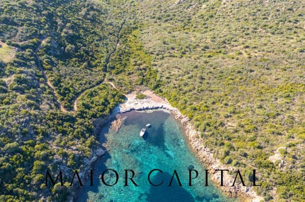 terreno agricolo in vendita a Galtellì