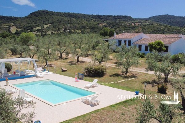 casa indipendente in vendita a Galtellì