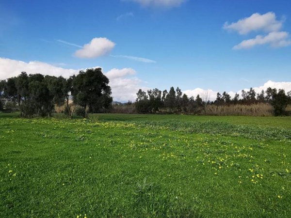terreno agricolo in vendita a Girasole