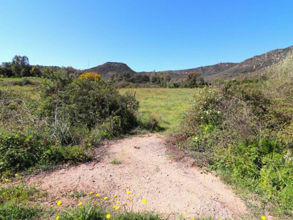 terreno agricolo in vendita a Girasole