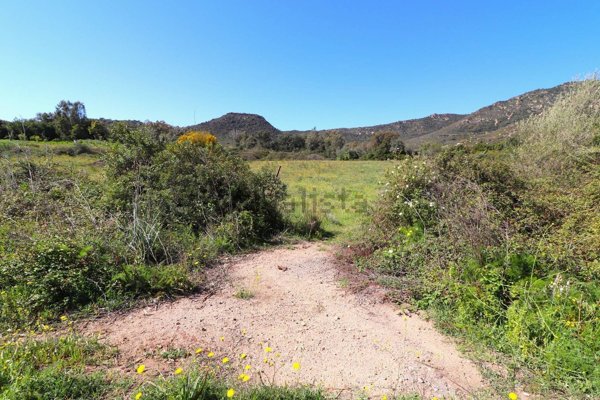 ufficio in vendita a Girasole