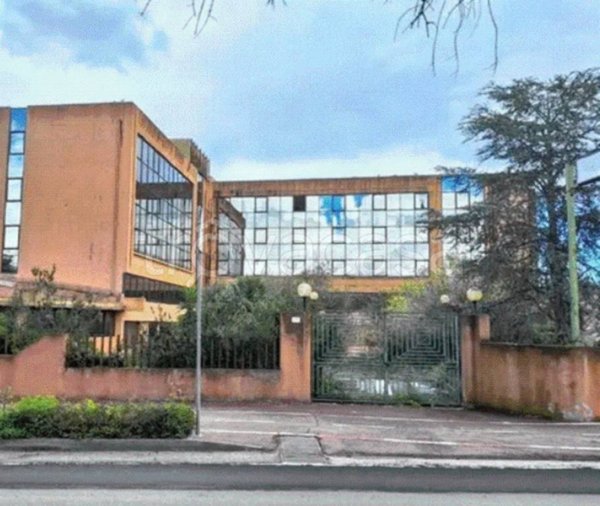 negozio in vendita a Girasole