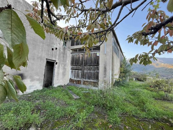 azienda agricola in vendita ad Ilbono