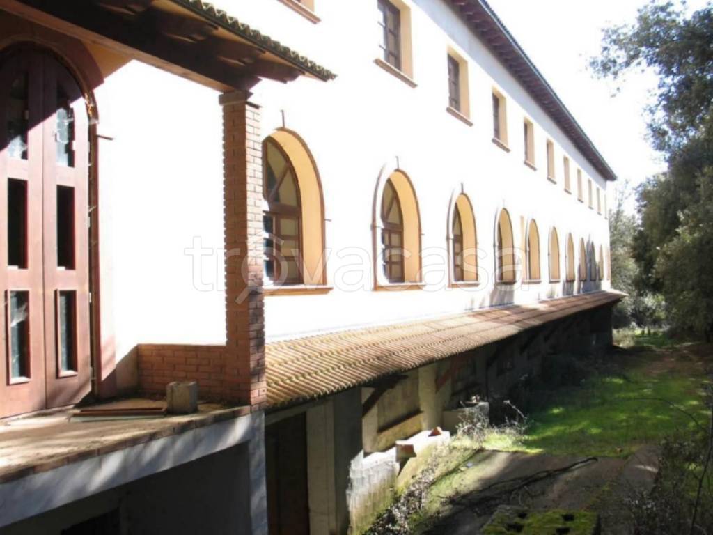 immagine annuncio 0 di 13