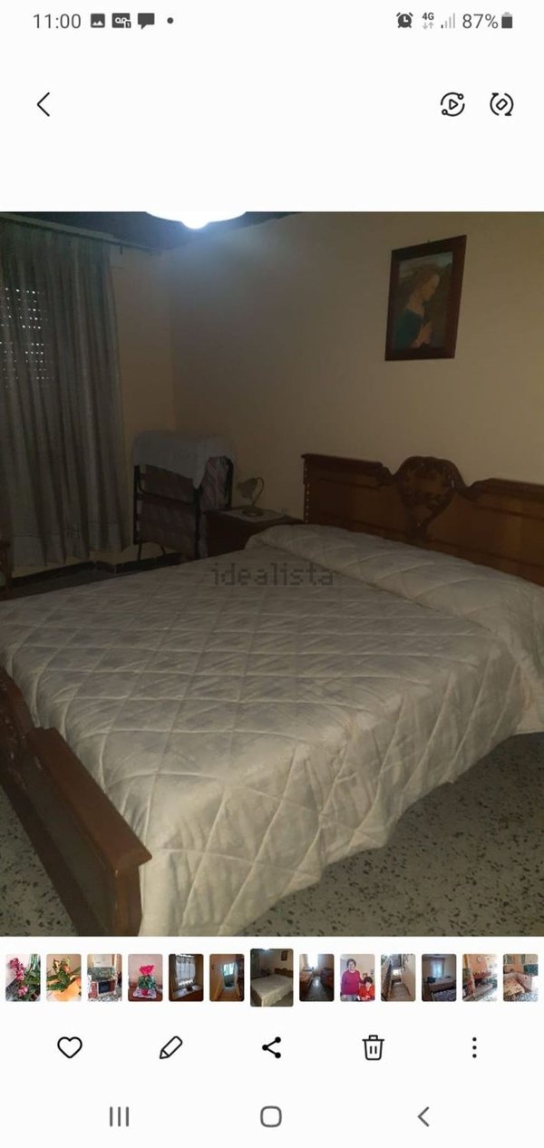 pentavano in vendita ad Ilbono