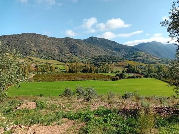 terreno edificabile in vendita a Jerzu