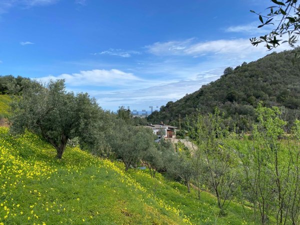 quadrivano in vendita a Jerzu