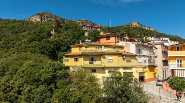 casa indipendente in vendita a Jerzu