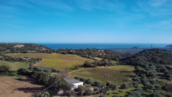 terreno agricolo in vendita a Lanusei