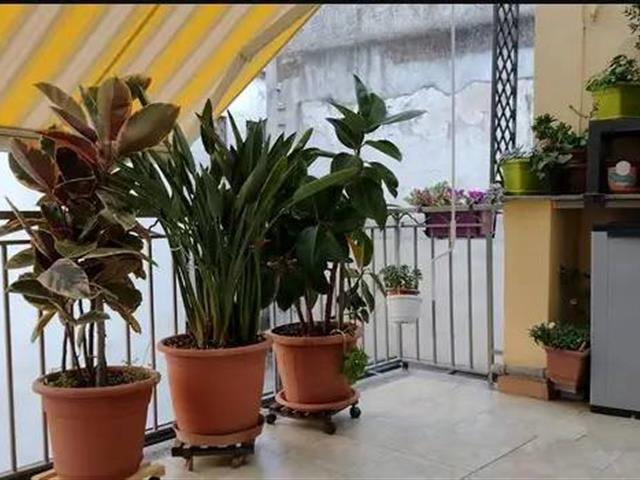 casa indipendente in vendita a Lanusei