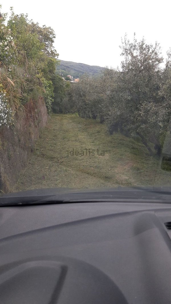 appartamento in vendita a Lanusei