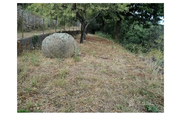 terreno agricolo in vendita a Lanusei