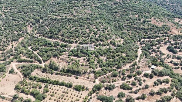 azienda agricola in vendita a Lanusei