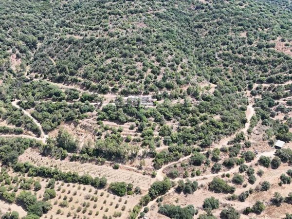 casa indipendente in vendita a Lanusei