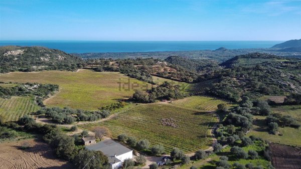 azienda agricola in vendita a Loceri