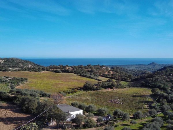 terreno agricolo in vendita a Loceri