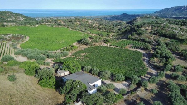 terreno agricolo in vendita a Loceri
