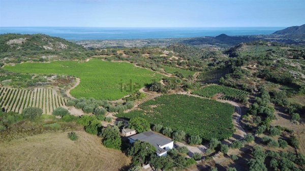 azienda agricola in vendita a Loceri