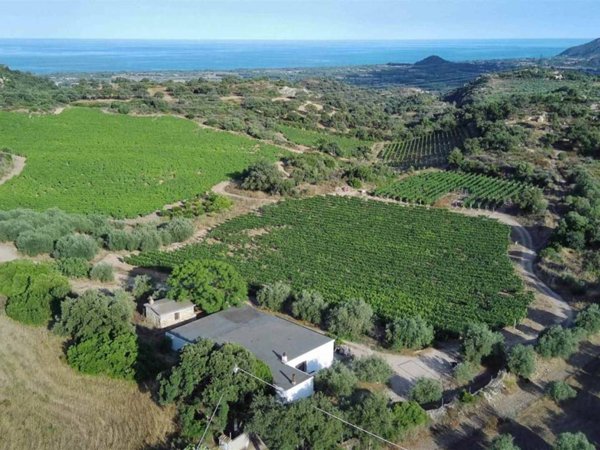 terreno agricolo in vendita a Loceri