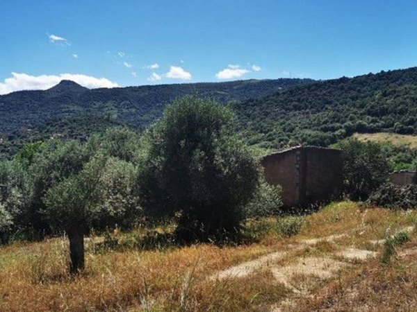 terreno agricolo in vendita a Loceri