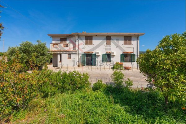 casa indipendente in vendita a Loculi
