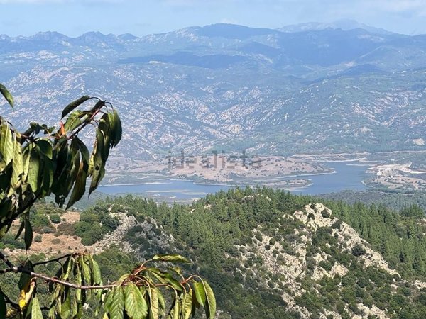 casa indipendente in vendita a Lodè