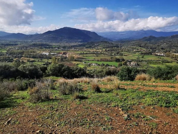 terreno agricolo in vendita a Lotzorai