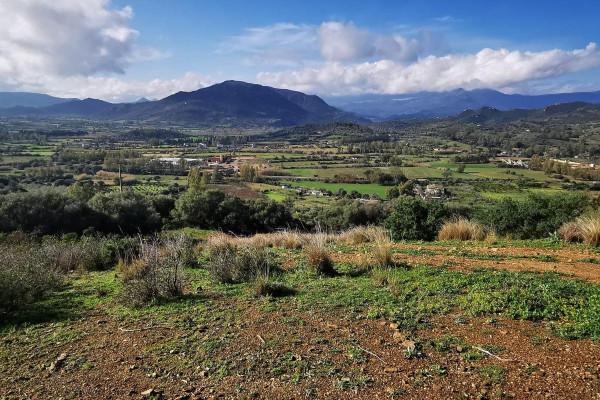 terreno agricolo in vendita a Lotzorai