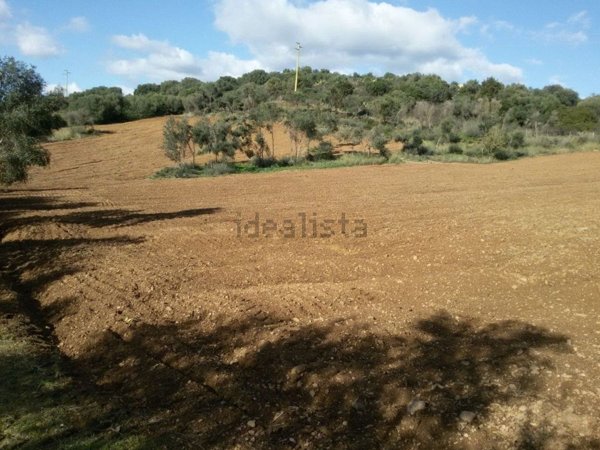 terreno agricolo in vendita a Lotzorai