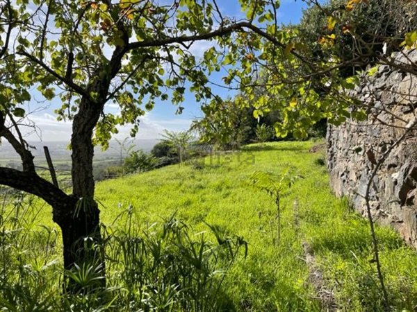 appartamento in vendita a Macomer