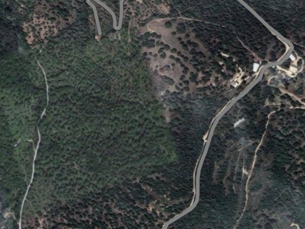 terreno agricolo in vendita a Nuoro