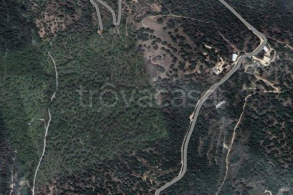 terreno agricolo in vendita a Nuoro