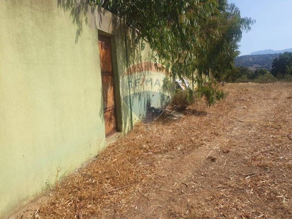 negozio in vendita a Nuoro