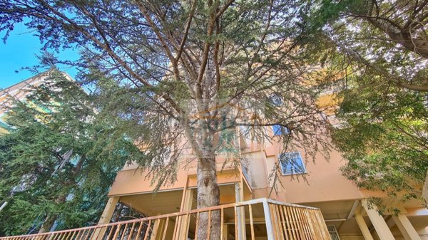 appartamento in vendita a Nuoro