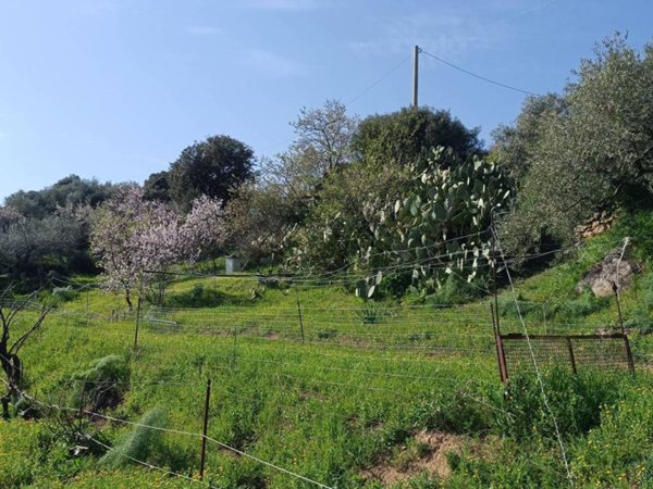 terreno agricolo in vendita a Nuoro