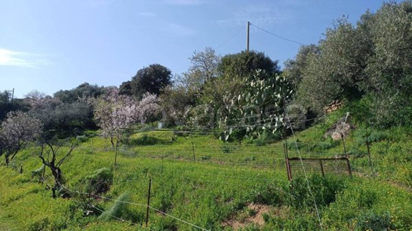 terreno agricolo in vendita a Nuoro