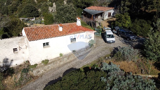 pentavano in vendita a Nuoro in zona Nostra Signora de su Monte