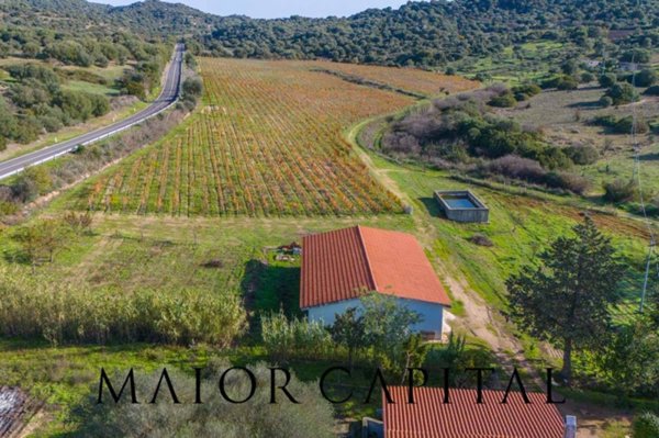 terreno agricolo in vendita ad Oliena