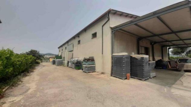 locale commerciale in vendita ad Oliena