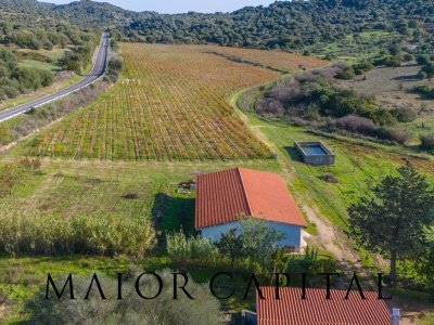 terreno agricolo in vendita ad Oliena