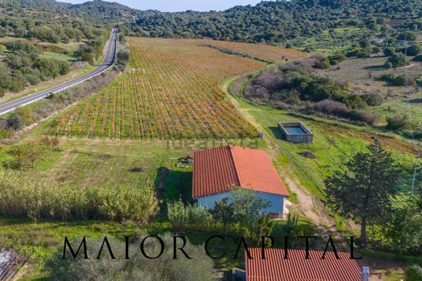 capannone in vendita ad Oliena