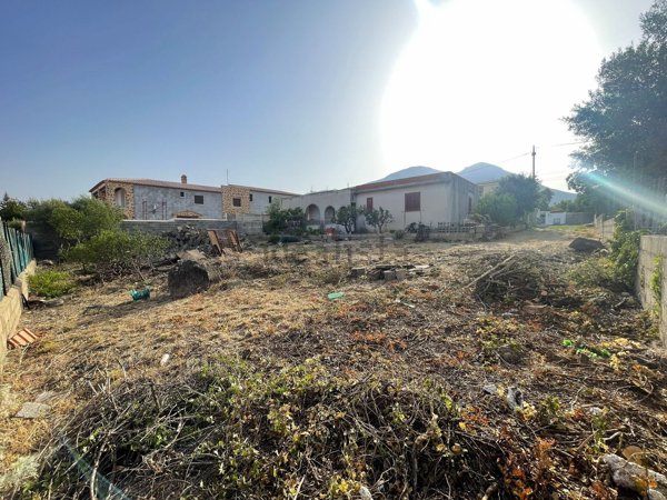 immagine annuncio 0 di 1